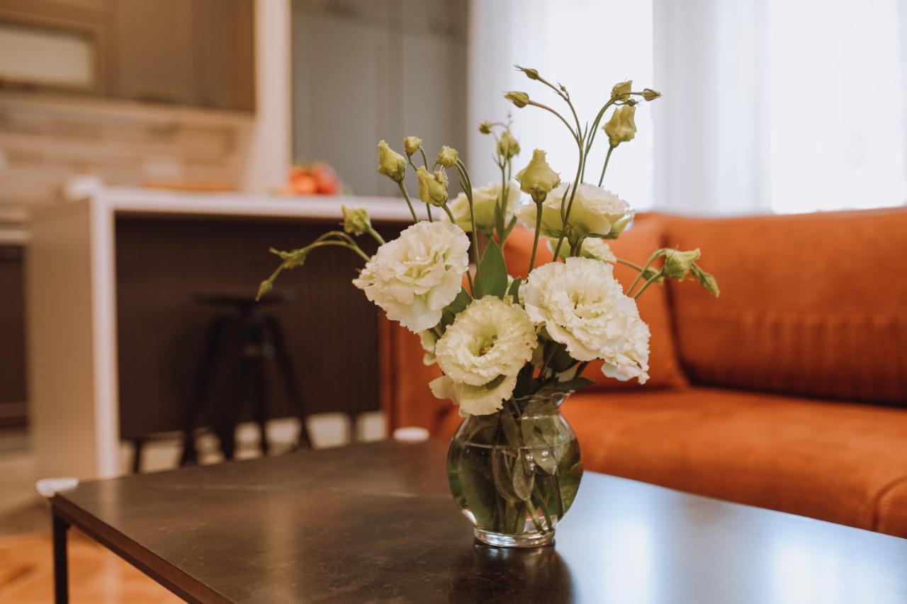 Apartman K29 Sombor Ngoại thất bức ảnh